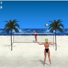 Beach Volleyball Palm Software