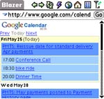 Google Calendar Mobile Palm