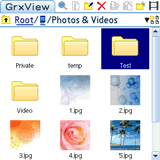 GrxView for Palm OS