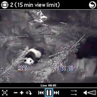 Kinoma Panda Cam