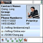mRing Treo Software
