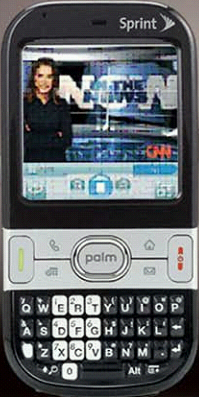 Sprint Palm Centro