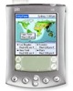 Palm m515