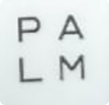 New Palm Logo