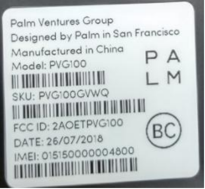 New Palm Logo