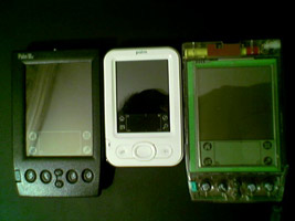 Palm Z22