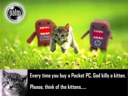 [Image: palmkittens-foo.jpg]