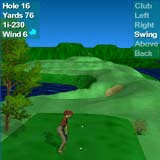 Par 3 Golf Palm Software