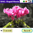 Rapid Movie