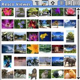 Resco Viewer - Palm Software