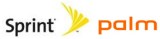 Sprint Palm Logo webcast