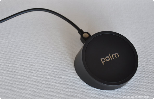 Palm Touchstone Review