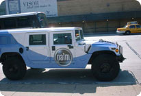 Palm Hummer