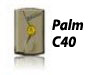 Palm C40