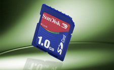 1 Gigabyte SD Card