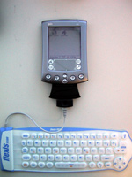 Keyboard and Palm Vx