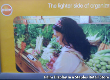 Palm Retail Display
