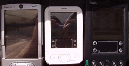 Palm Z22 outdoor